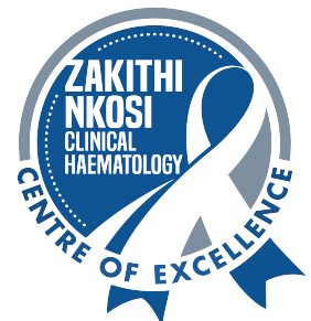 Zakithi Holdings Logo